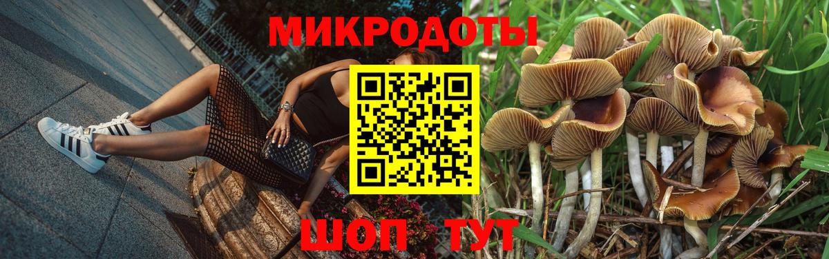 Каменск-Шахтинский  Псилоцибиновые грибы Cubensis  Вход с VPN 