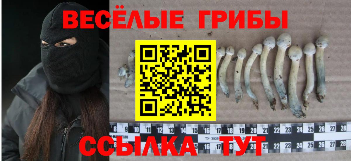 Галлюциногенные грибы мухоморы Каменск-Шахтинский